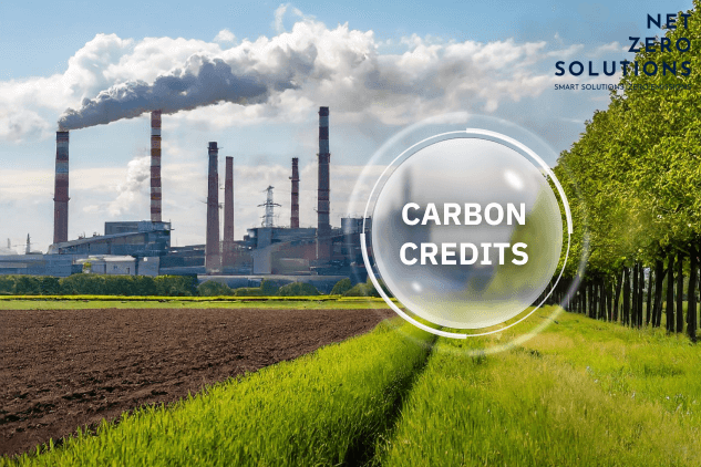 Thị trường Carbon Việt Nam